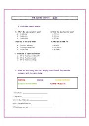 English Worksheet: The clever woman