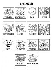 English Worksheet: spring is