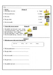 English Worksheet: five senses