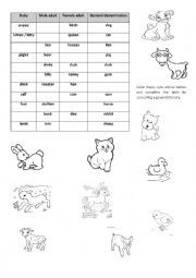 English Worksheet: Baby Animals