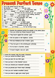 English Worksheet: Present Perfect Tense