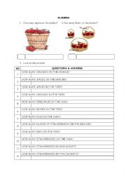 English Worksheet: Numbers