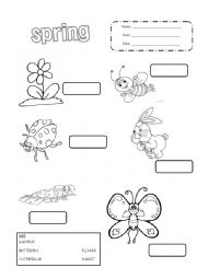 English Worksheet: Spring label the pictures