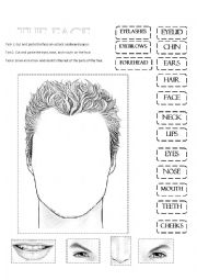 English Worksheet: The Face