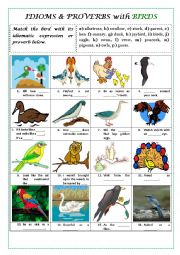 English Worksheet: BIRD IDIOMS AND PROVERBS (+ key and explanations)