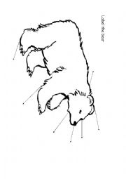 English Worksheet: Were Going on a Bear Hunt