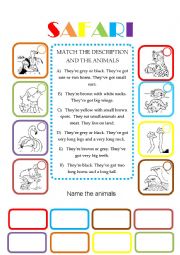 English Worksheet: Animals