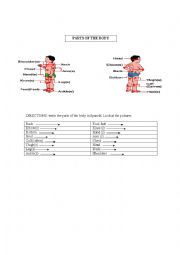 English Worksheet: PARTS OF THE BODY