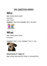 English Worksheet: Wh question words explanation
