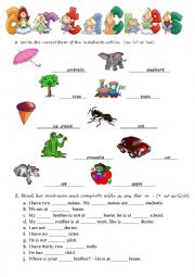 English Worksheet: Articles