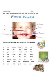 English Worksheet: face parts, classroom object