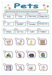 PETS WORKSHEET (animals set 4)