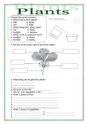English Worksheet: Plants