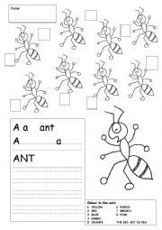 ANT WORKSHEET