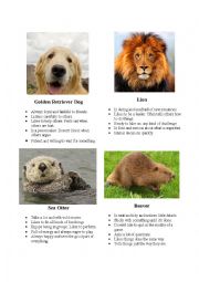 English Worksheet: Animal Personality Types