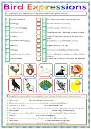 English Worksheet: Bird Idioms and Expressions