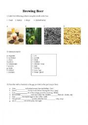 English Worksheet: Brewing Beer 