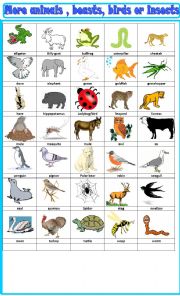 English Worksheet: more animals beasts and birds: pictionary