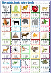 English Worksheet: more animals beasts and birds:multiple choice activity