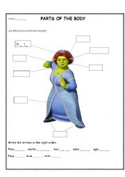 English Worksheet: body parts