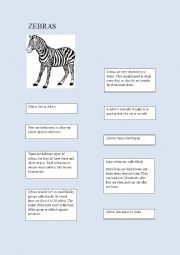 English Worksheet: Animal facts: zebras