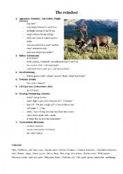 English Worksheet: The reindeer