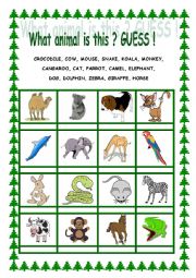 English Worksheet: what animal is this? Guess!