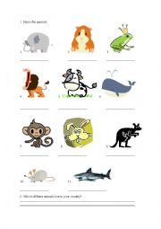 English Worksheet: Animals