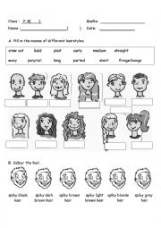 English Worksheet: Hairstyles