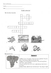 English Worksheet: Jungle animals