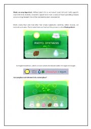 English Worksheet: Photosynthesis