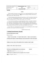 English Worksheet: End of term test N1 