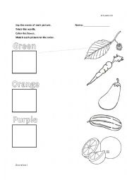 English Worksheet: Green, Orange, Purple Matching & Coloring