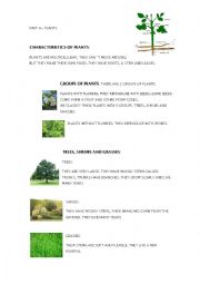 English Worksheet: PLANTS