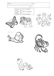 English Worksheet: ANIMAL CLASSIFY