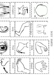 English Worksheet: Body Parts (Cut & Paste)