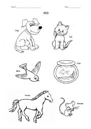 ANIMAL COLOURING WORKSHEET