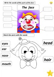 English Worksheet: the parts of the face