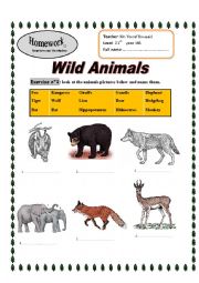 Wild Animals