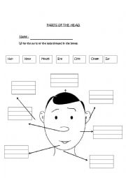 English Worksheet: Parts of the face