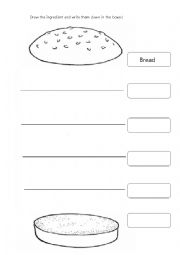 English Worksheet: hamburger