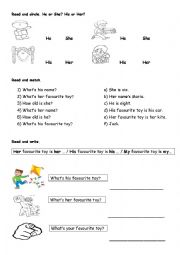 English Worksheet: His and Her