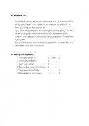 English Worksheet: reading