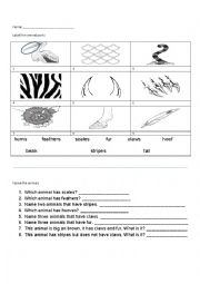 English Worksheet: Animal Body Parts 