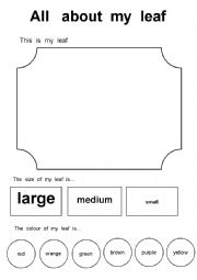 All about my leaf - ESL worksheet by Fossati60