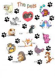 English Worksheet: The pets