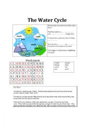 English Worksheet: The Water Cycle