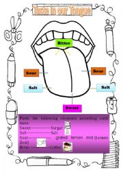 English Worksheet: Taste our Tongue