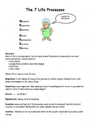 Life Processes Worksheet