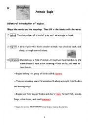 English Worksheet: General Introduction of Eagles